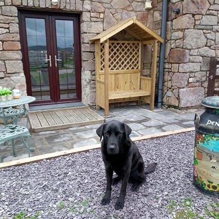 Conwy Pen Cefn Farm Holiday อะแบร์เกล ภายนอก รูปภาพ