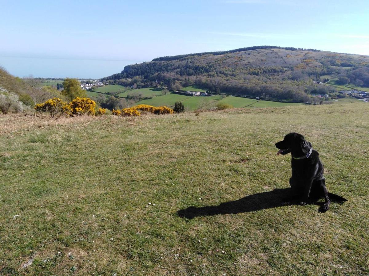 Conwy Pen Cefn Farm Holiday อะแบร์เกล ภายนอก รูปภาพ