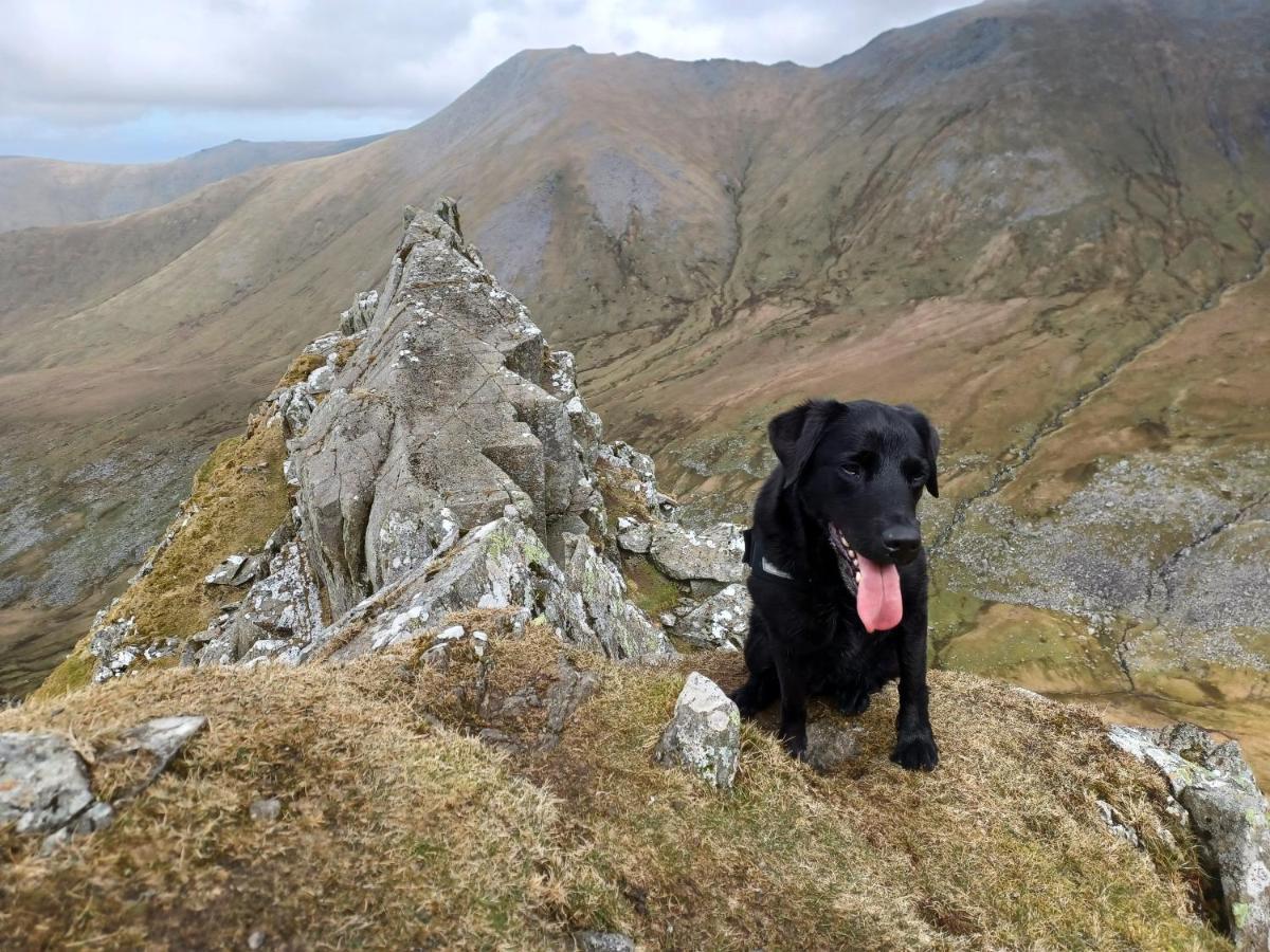 Conwy Pen Cefn Farm Holiday อะแบร์เกล ภายนอก รูปภาพ